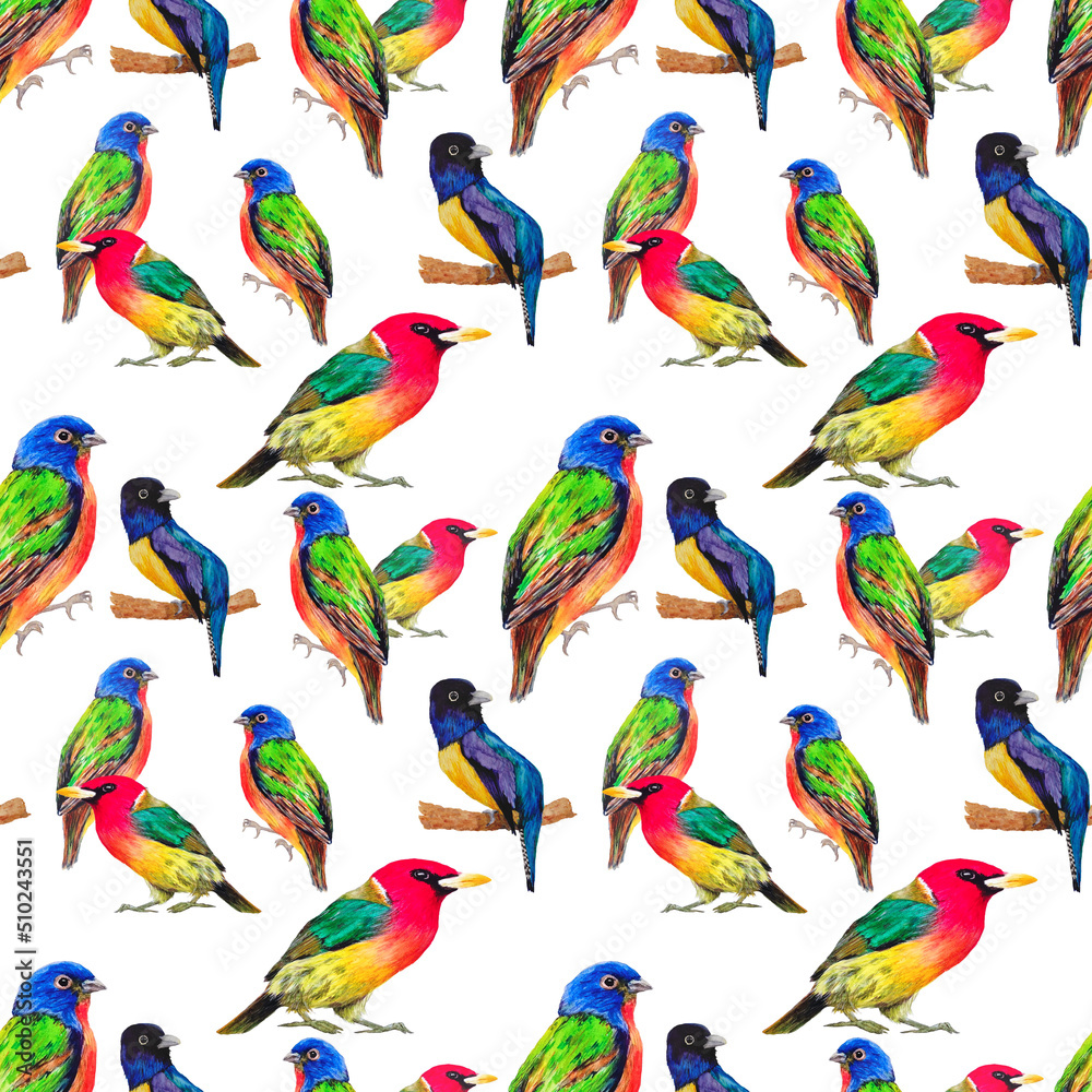 Naklejka premium seamless pattern with birds on white