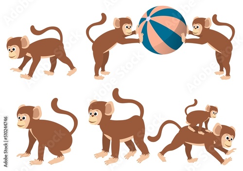set of several monkeys. Vector illustration.
