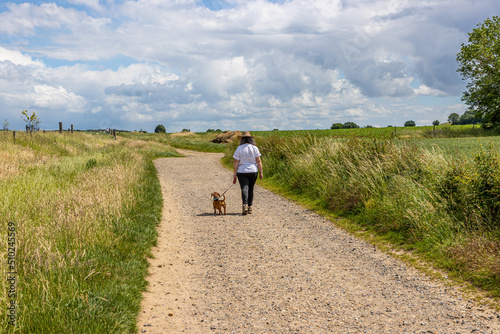 Fotografía Mature woman walking with her short haired brown dachshund, back to camera, hiki