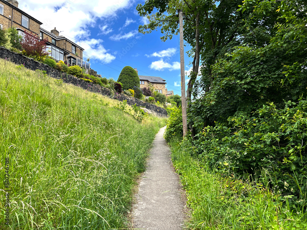 Footpath, lined with wild plants, trees, and houses on the horizon near, Mount Pleasant, Baildon, UK