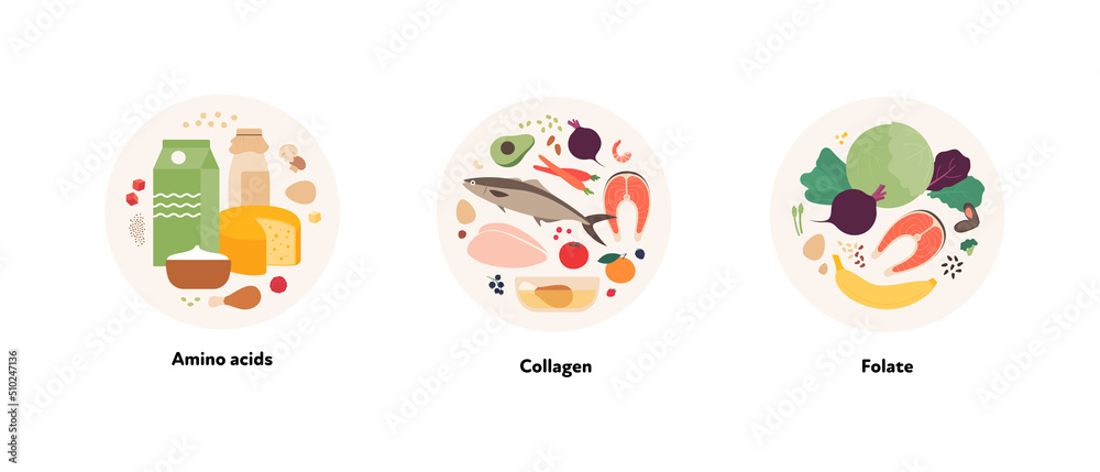Food illustration and healthy nutrient source collection. Vector flat design of various amino acid, collagene, folate product symbol in circle frame isolated on white background.