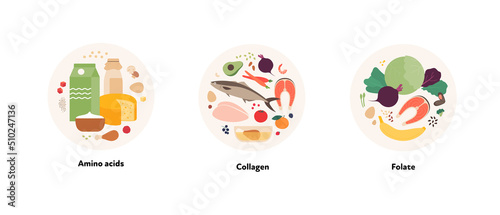 Food illustration and healthy nutrient source collection. Vector flat design of various amino acid, collagene, folate product symbol in circle frame isolated on white background.