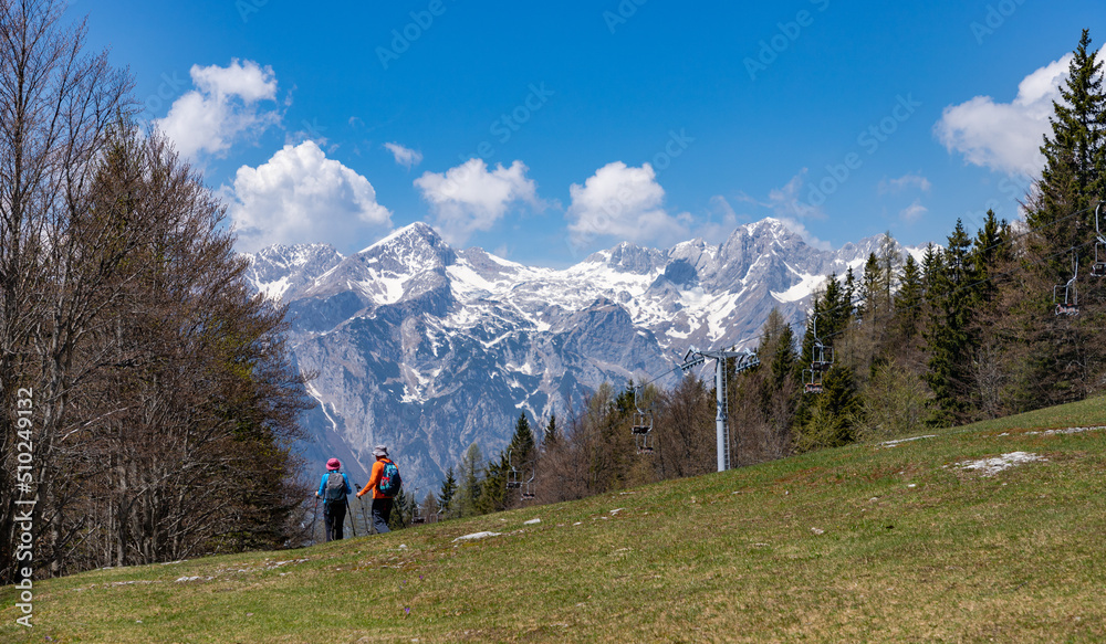 Kamnik-Savinja Alps and Velika Planina Couple
