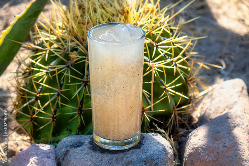 Fototapeta Naklejka Na Ścianę i Meble -  Guamiche drink Ferocactus wislizenii typical of guanajuato mexico