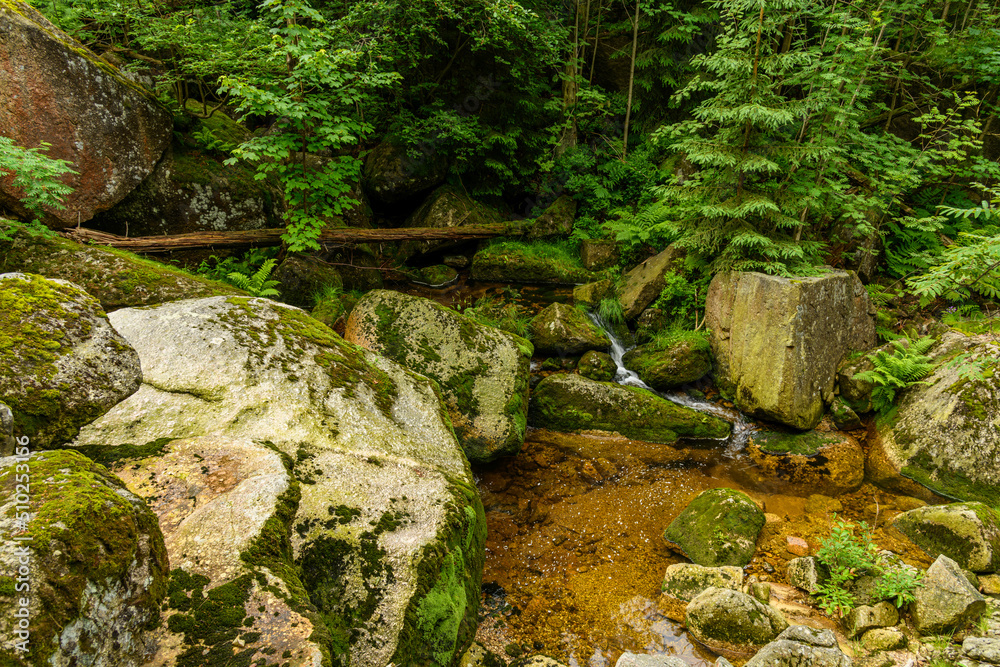 small cascades on creek between mossy boulders small cascades on creek between mossy boulders