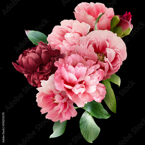 Pink and red peony isolated on black background. Floral arrangement, bouquet of garden flowers. Can be used for invitations, greeting, wedding card.