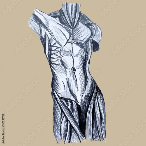 illustration graphic pencil body sculpture black and white