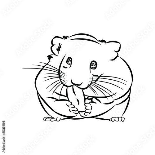 Illustration:Beautiful Hamster stripes, used in general applications