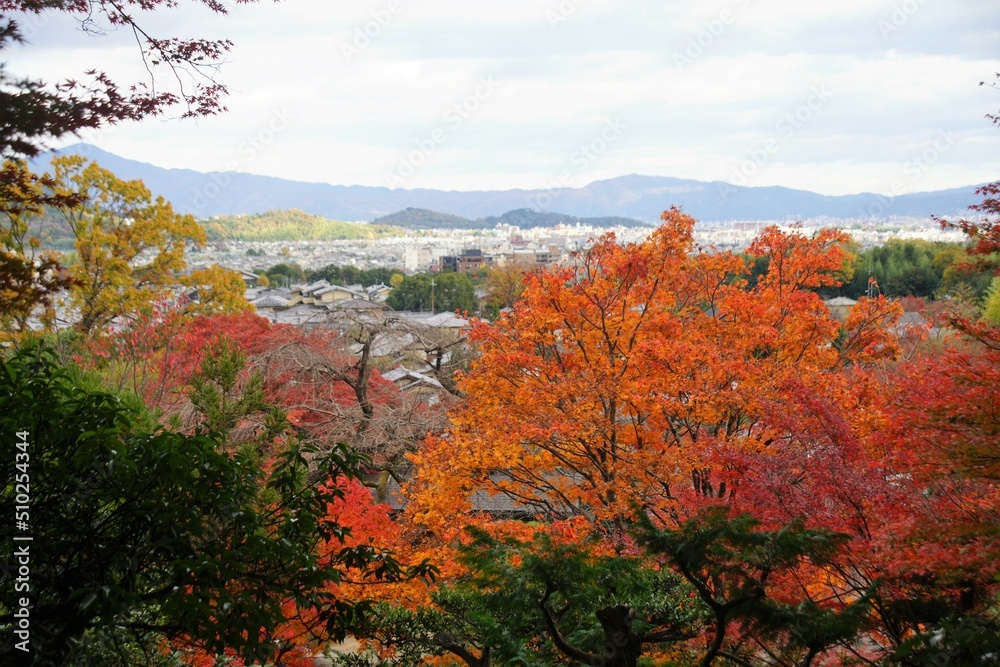 奥嵯峨の常寂光院の紅葉と風景