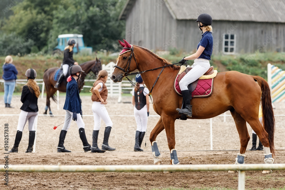 Equestrian sport - young girl rides on horse.