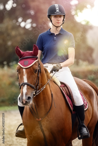 Portrait of jockey woman rider with brown horse, concept advertising equestrian club school.
