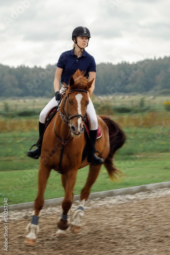 Girl, horse rider, during a match, in torque, high speed, in motion blur. Equestrian sport in details. Sport horse and rider