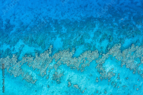 Fototapeta Naklejka Na Ścianę i Meble -  A man with a diving suit, snorkeling, on the coral reef in Eilat, Israel.