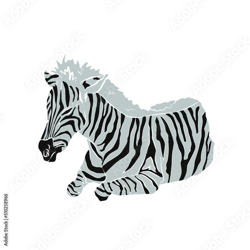 Illustration: Beautiful zebra image, used in general work