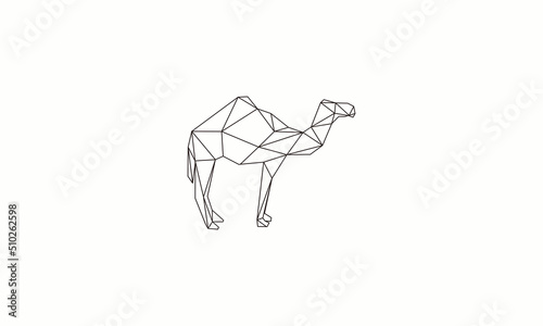 geometric camel