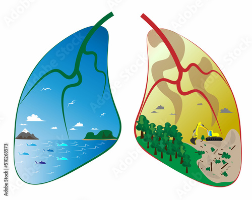 the lungs of ecology of our world. The lungs of our world personifies the planet earth, the ocean should be clean from garbage, also people kill forests around the world. 