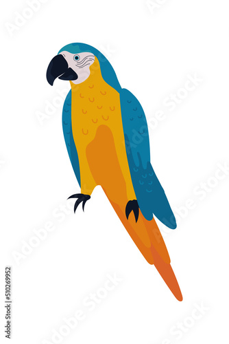 macaw bird icon