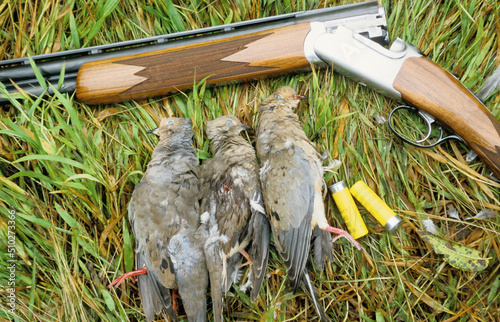 Фотография A trio of doves and a shotgun