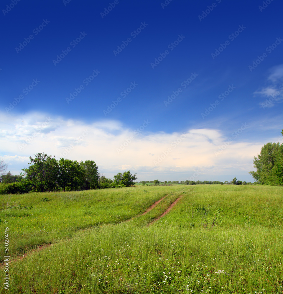 landscape with track in field landscape with track in field