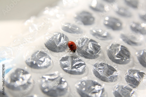 red ladybug on plastic, protect enviroment 