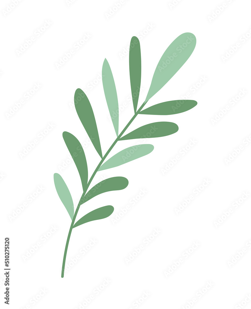 Fototapeta premium plant branch icon