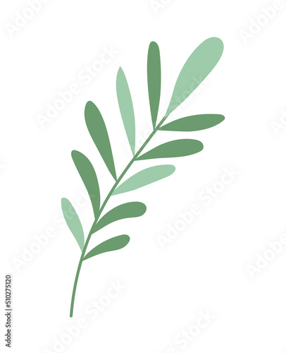 plant branch icon