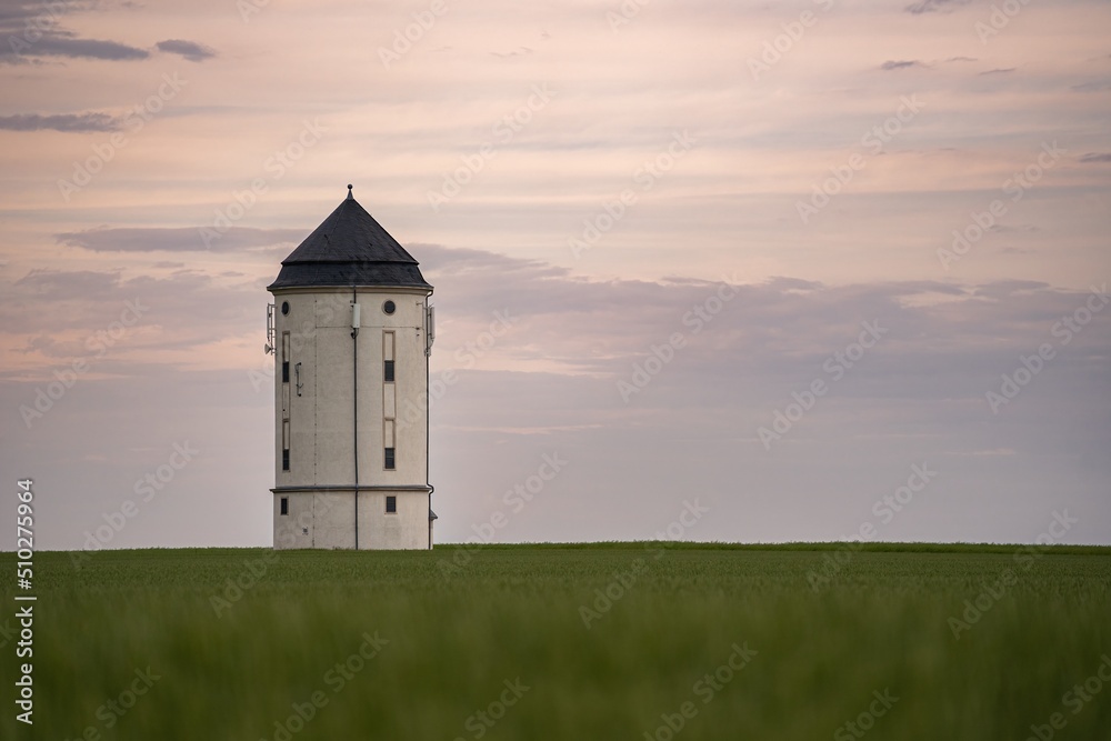 Fototapeta premium unreifes Getreidefeld mit Wasserturm