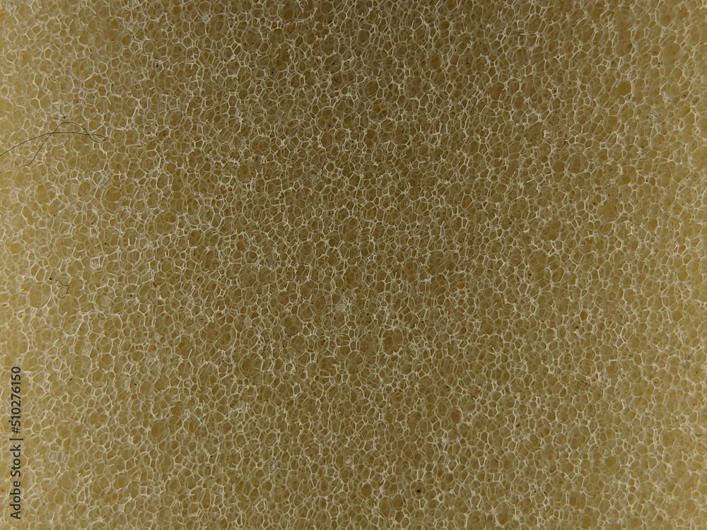 Close-up yellow sponge. Background and textured concept. Close-up yellow sponge. Background and textured concept.