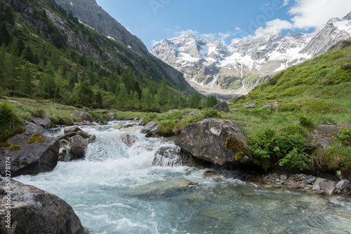 Naturpark mit Wildbach Gletscher und Alpenrosen