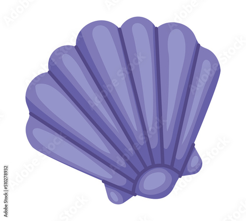 purple conch shell illustration