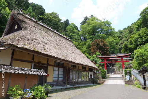  A Japanese shrine : a view of the entrance Torii to the precincts of Okawa-jinjya Shrine in Maizuru City in Kyo Prefecture 日本の神社：京都府舞鶴市にある大川神社境内入り口の鳥居の風景