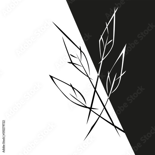 Fototapeta Naklejka Na Ścianę i Meble -  ornament 2354. stylized black and white leaves. graphic decor, logo