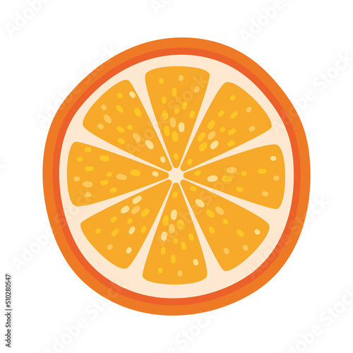 orange slice illustration