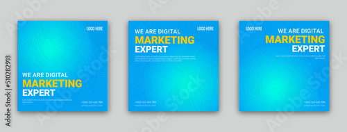 Digital marketing expert set of three social media post template design on creative concept banner