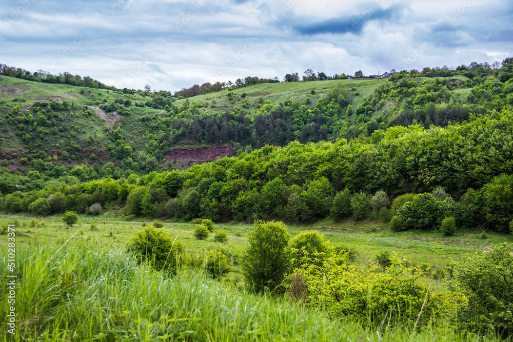 a forest on hills and ravine lanscape, Ukraine