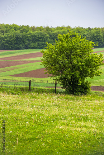 arable field and meadow in Ukrainian village