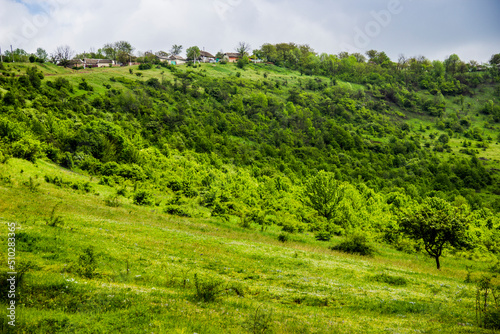 a forest on hills and ravine landscape near the village in Ukraine