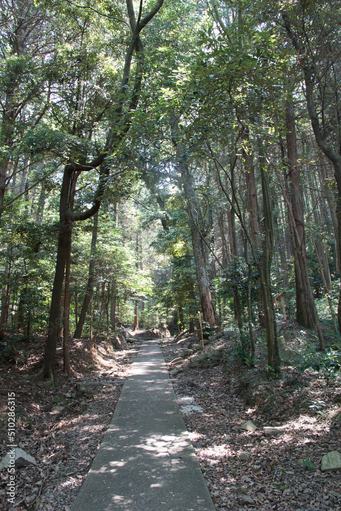 山道 山道