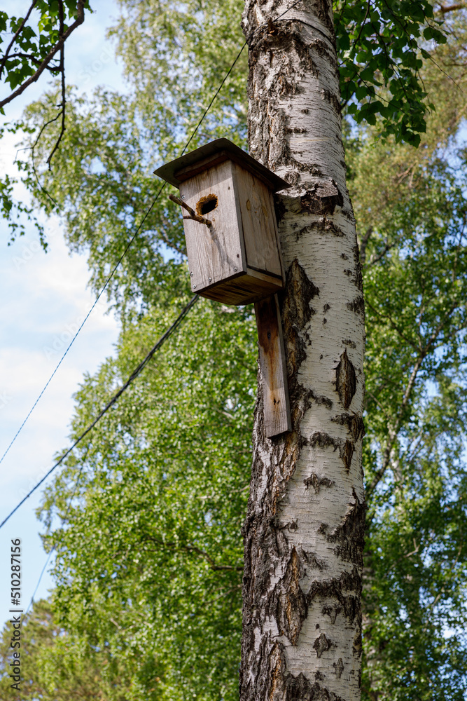 wooden birdhouse on a tree in the forest and park wooden birdhouse on a tree in the forest and park