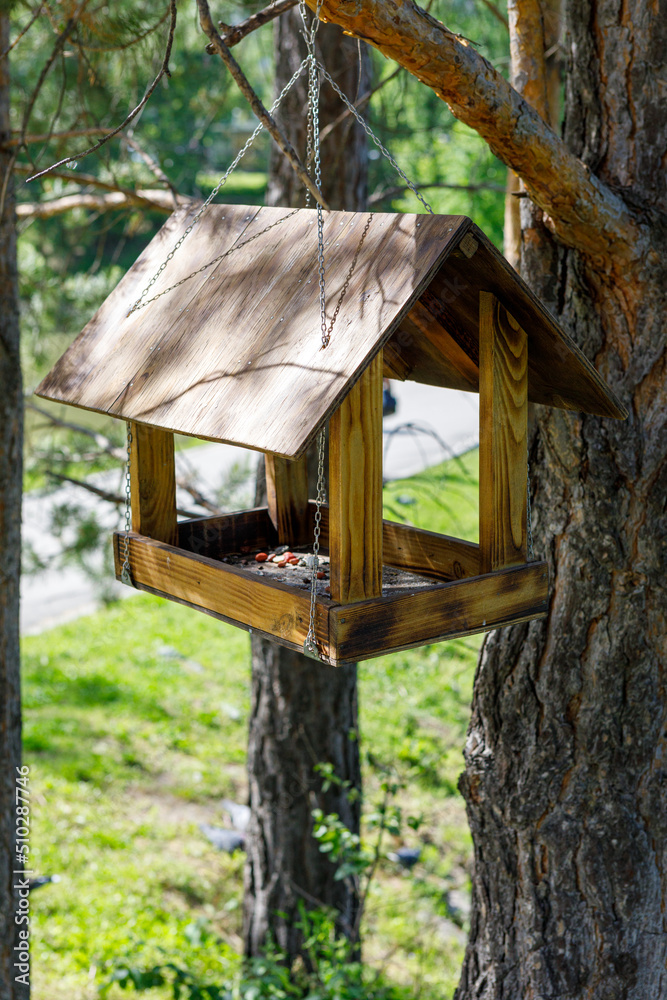 wooden birdhouse on a tree in the forest and park wooden birdhouse on a tree in the forest and park