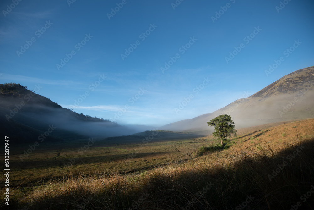 Hairtha Kanda Bopaththalawa Morning Landscape of Mountains Trees Grass Plains