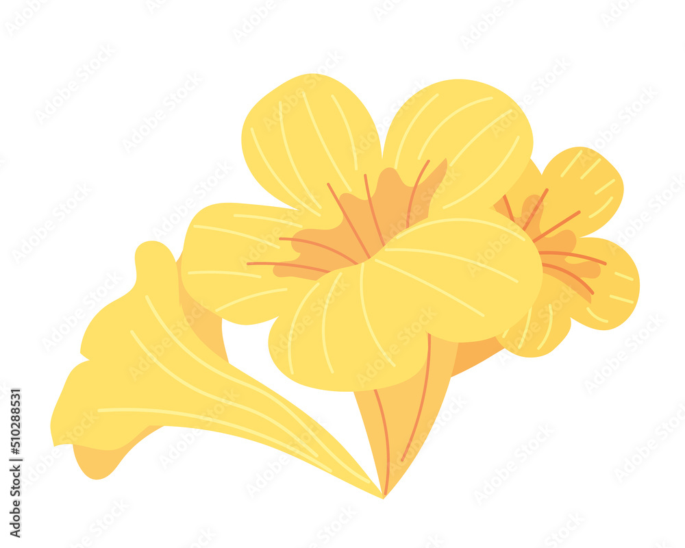 tropical flowers icon