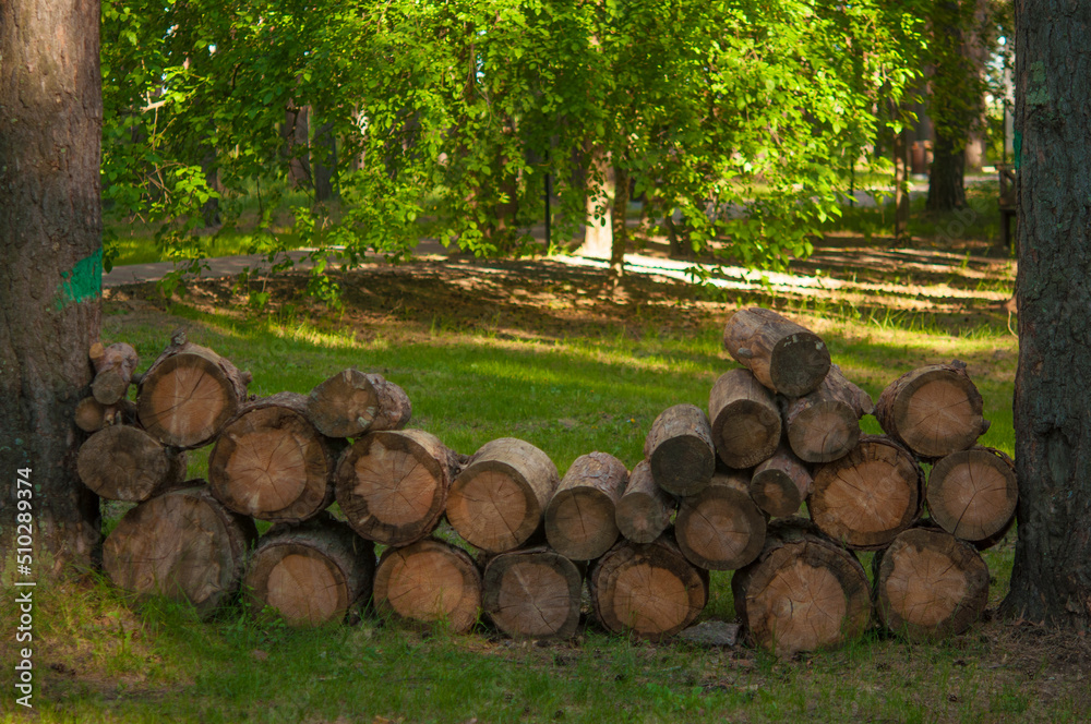 Stacked logs in the forest . Timber industry . Pile of firewood Stacked logs in the forest . Timber industry . Pile of firewood