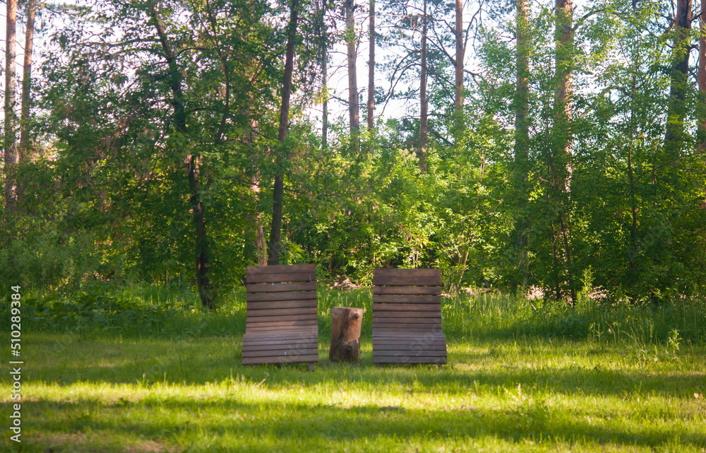 Obraz premium bench in a public park