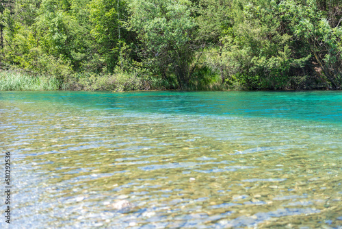 Acqua cristallina con alberi verdi sullo sfondo