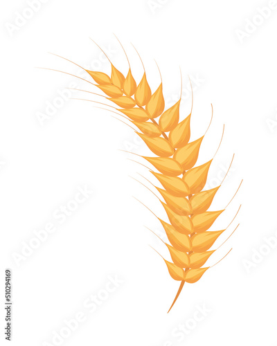 wheat ear icon