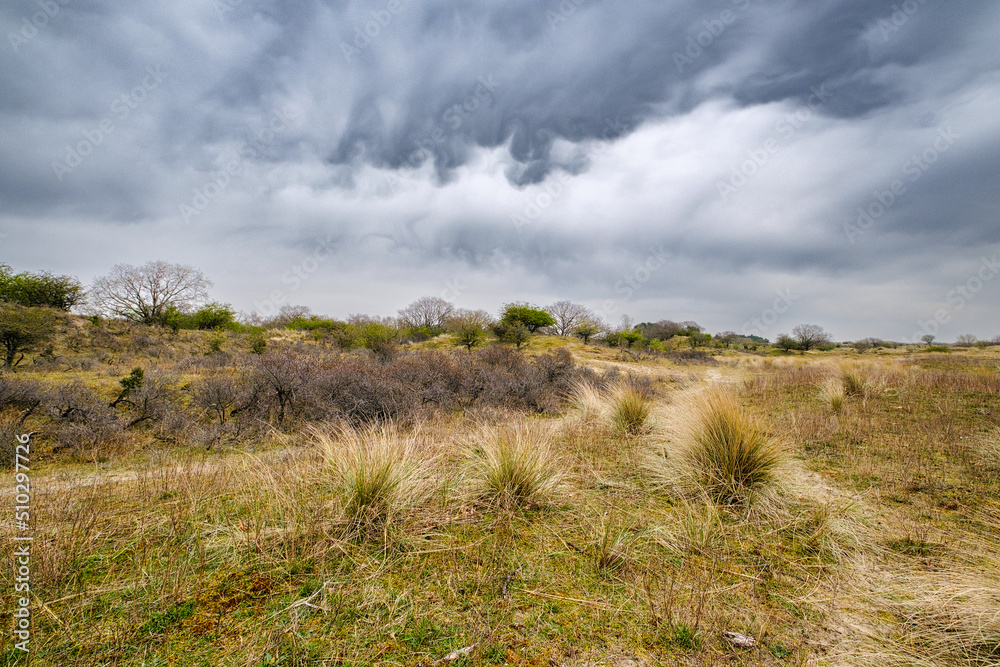 Amsterdamse Waterleidingduinen Amsterdamse Waterleidingduinen