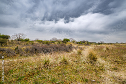 Amsterdamse Waterleidingduinen photo