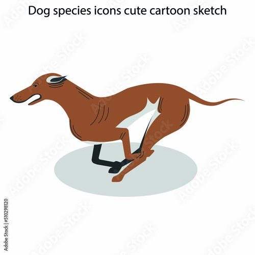 Dog species icons cute cartoon sketch © Vector