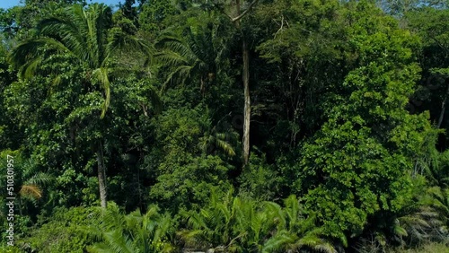 Tropical Rainforest aerial shot, Soberania National Park, Panama Canal, Panama - stock video